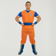 Disfraz Goku / Hombre Adulto